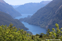 NZ