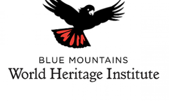 BMWHI logo