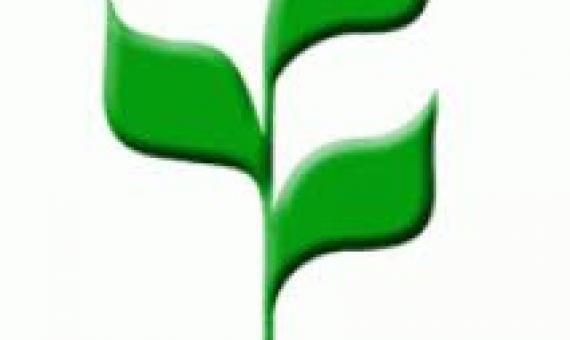 CBD logo