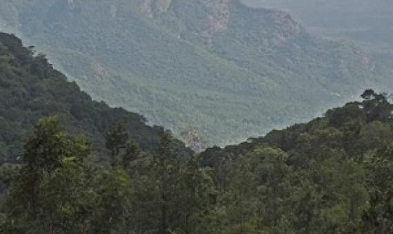 Ecological civilisation and the new global biodiversity framework. SOURCE - MONGABAY.COM