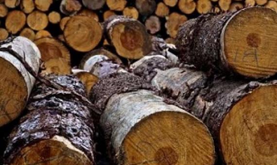 World is not on track to achieve global deforestation goals. Credit: CC0 Public Domain