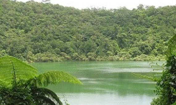 Lake Lanoto'o national park, Samoa. Credit - V. Jungblut