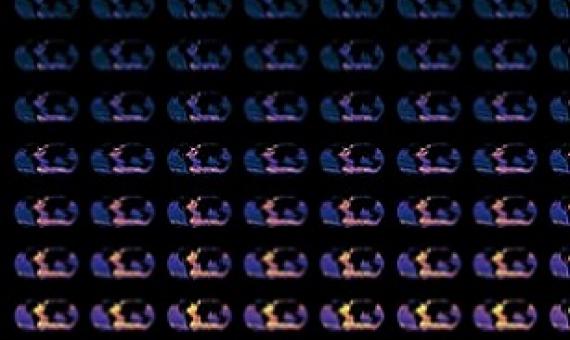 Maps of ocean warming change and its decomposition estimated from observations. Credit: University of Oxford