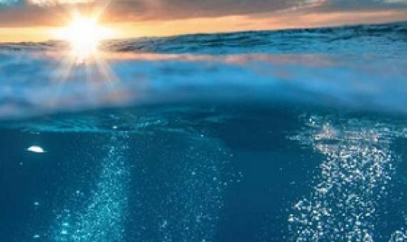 A 3D approach to protecting biodiversity on the high seas by University of Queensland. Credit: University of Queensland