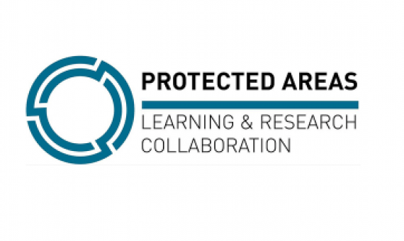PAC logo