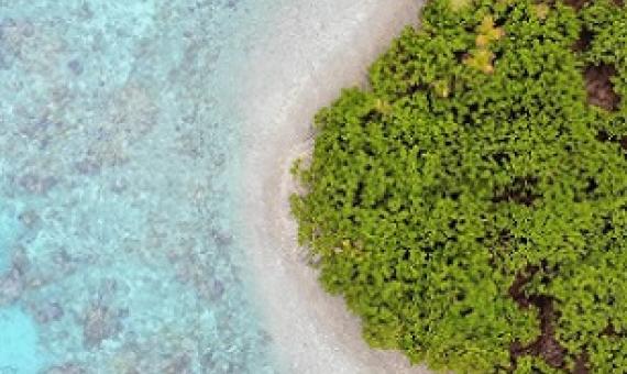 Palmyra Atoll. Credit - The Nature Conservancy