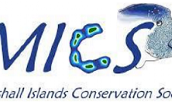 MICS logo
