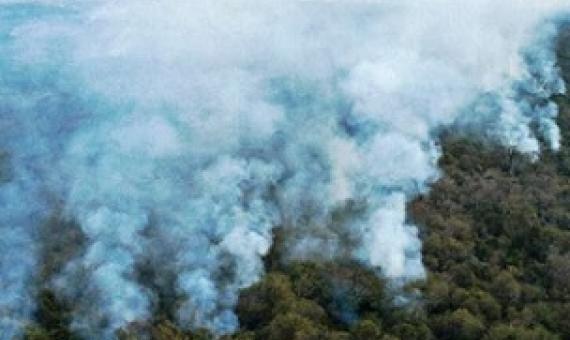 Fires scorched through a third of Brazil's Pantanal wetlands in 2020. credit - https://phys.org/