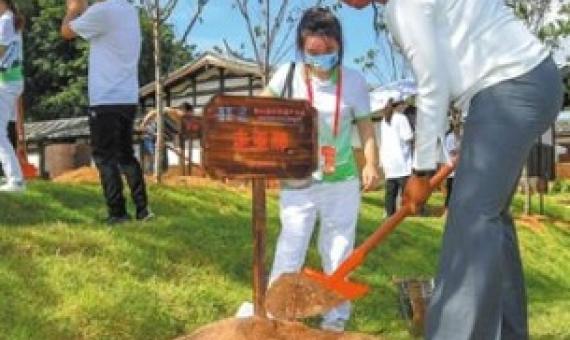Guests attending the 44th session of UNESCO's World Heritage Committee plant trees in a historical neighborhood in Fuzhou, Fujian province, on Saturday. （Photo/China News Service）