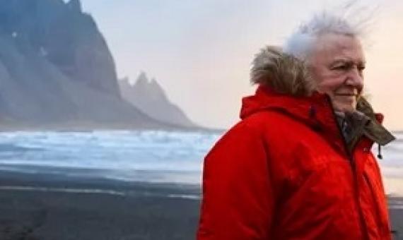 Sir David Attenborough. Source - bbc.com