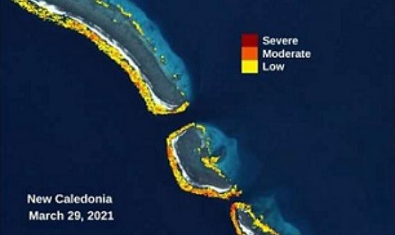 Close Up of The Allen Coral Atlas Platform Showing Bleaching in New Caledonia on 5/29/21. Credit: Allen Coral Atlas