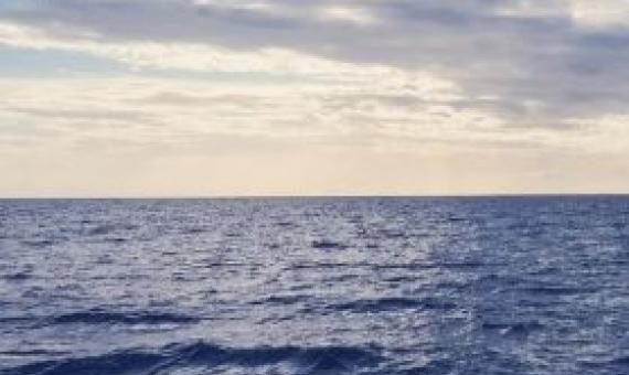 The Blue Economy and COVID-19 Pandemic: New challenges, recovery measures and resilience [On-line]