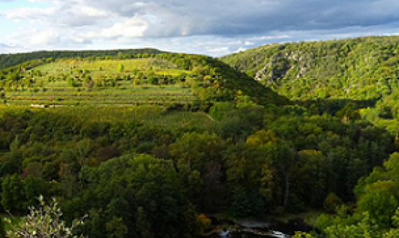protected area