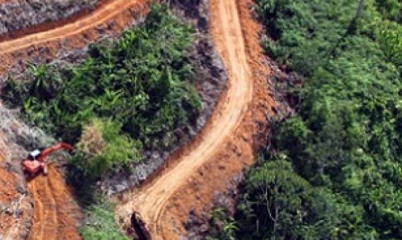 credit -  www.mongabay.com