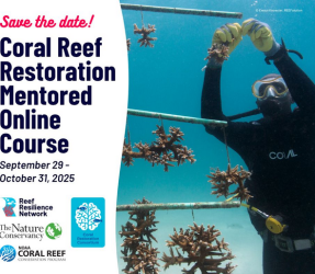Coral reef restoration