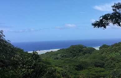 Credit - Cook Islands National Environment Service Takitumu Conservation Areas, Rarotonga. Cook Islands. Credit - National Environment Service